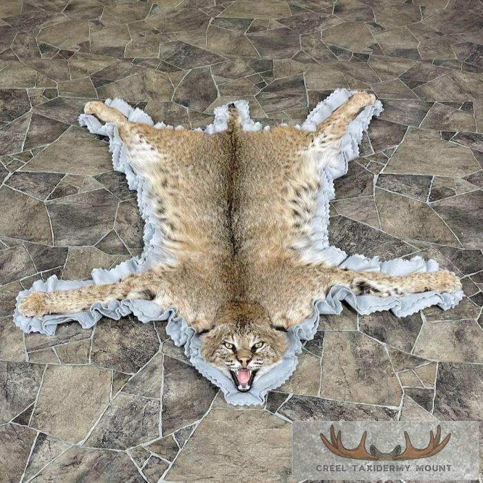 Bobcat Taxidermy Rug For Sale