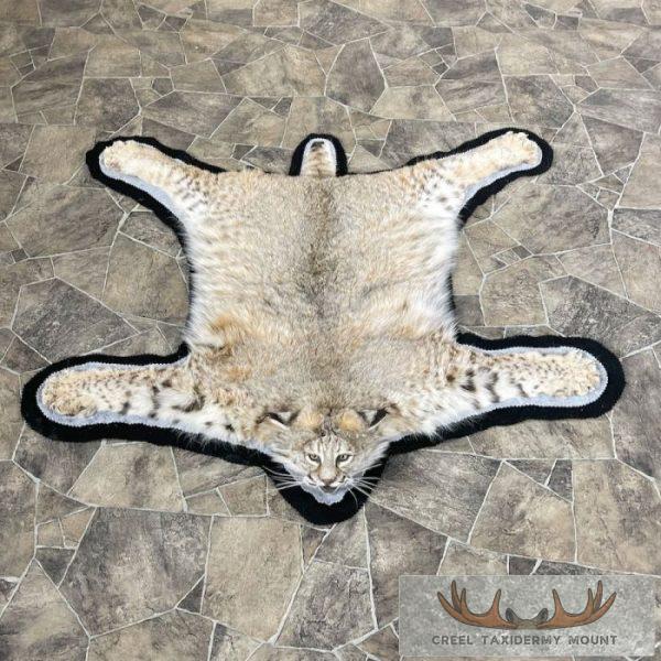 Bobcat Taxidermy Rug For Sale
