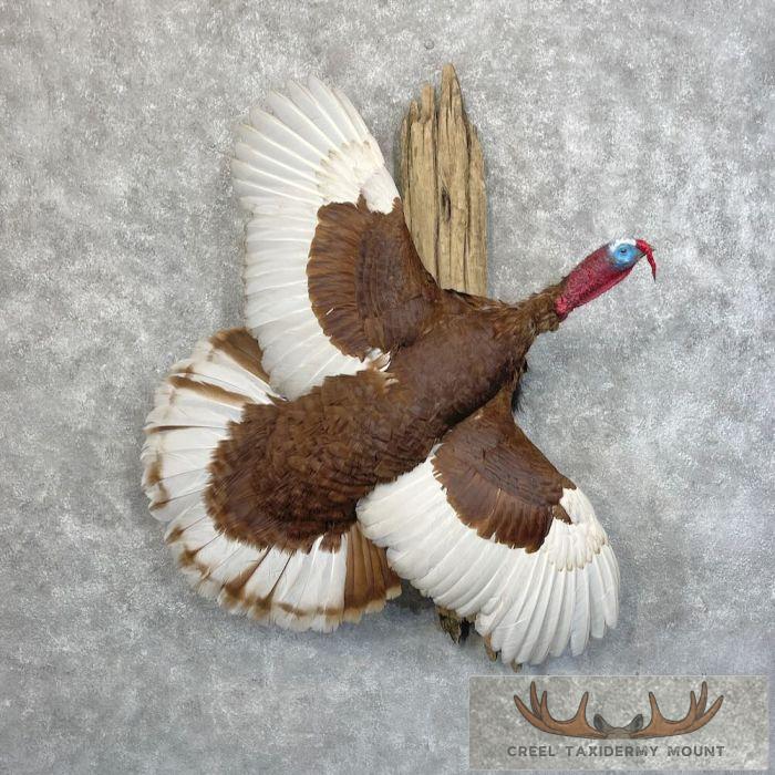 Turkey Rug Mount Bourbon Red Turkey Taxidermy Bird For Sale | Creel Taxidermy