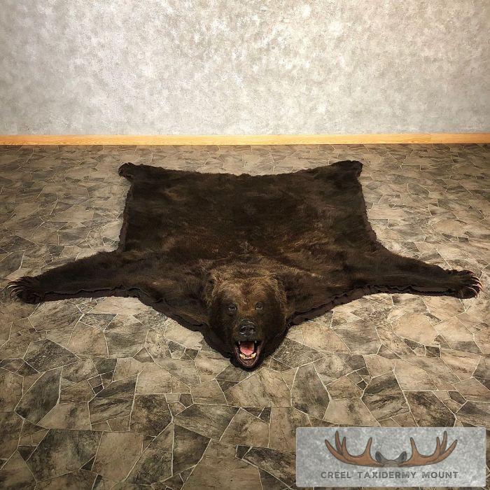 Kodiak Brown Bear Full-Size Taxidermy Rug For Sale