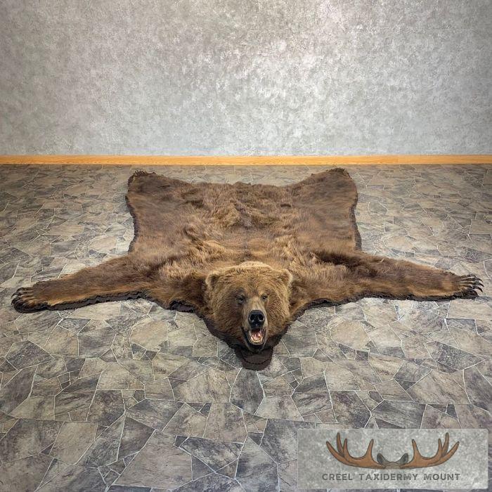 Kodiak Brown Bear Full-Size Taxidermy Rug For Sale