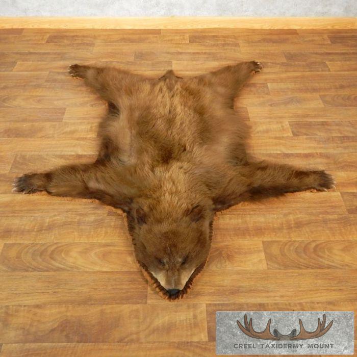 Cinnamon Phase Black Bear Full-Size Taxidermy Rug For Sale