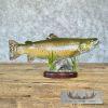 22.5" Brown Trout Taxidermy Fish Mount For Sale