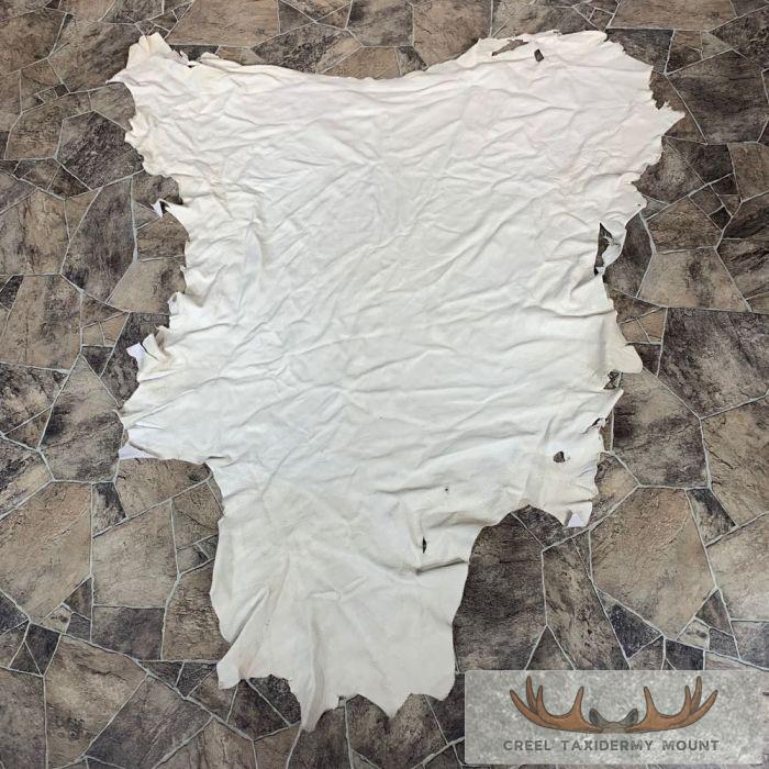 Buckskin Soft Tan Leather For Sale