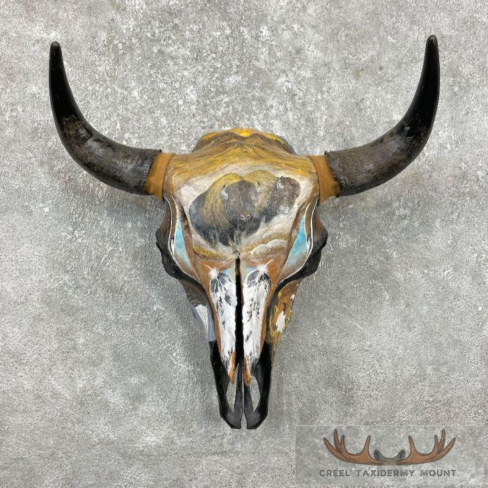 American Buffalo/Bison Skull Taxidermy Mount For Sale