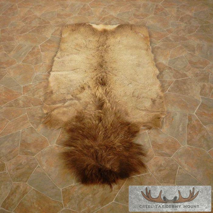 Bull Elk Hide Taxidermy Mount For Sale