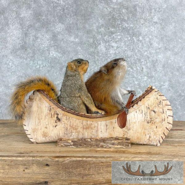 Canoe "Pals" Squirrel and Muskrat Novelty Taxidermy Mount For Sale