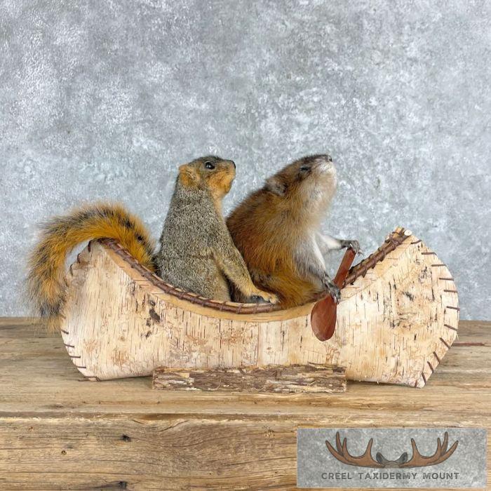 Canoe "Pals" Squirrel and Muskrat Novelty Taxidermy Mount For Sale