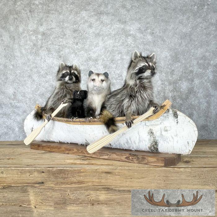 Canoeing "Pals" Novelty Taxidermy Mount For Sale