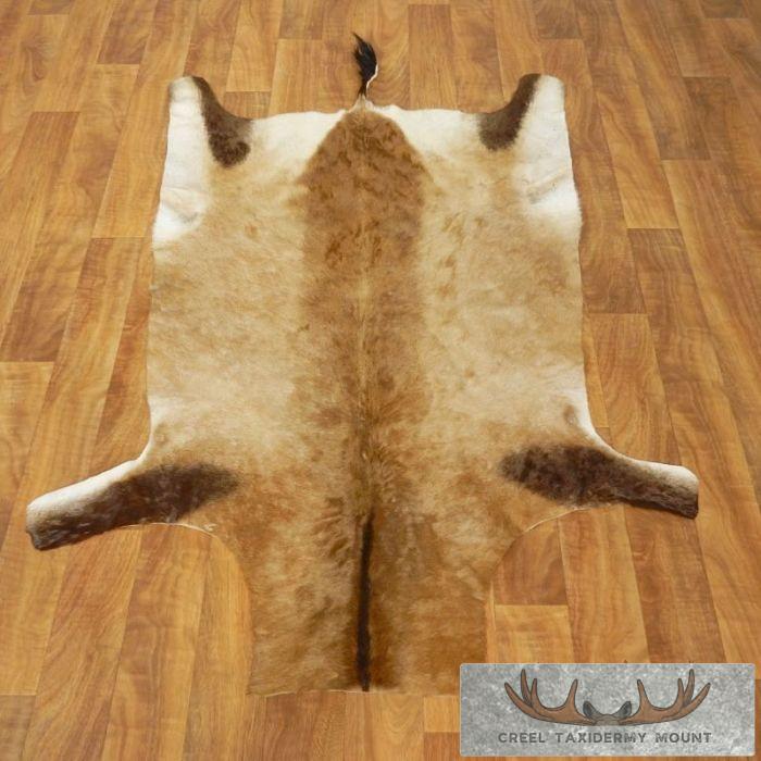 Cape Hartebeest Tanned Skin Taxidermy Rug For Sale