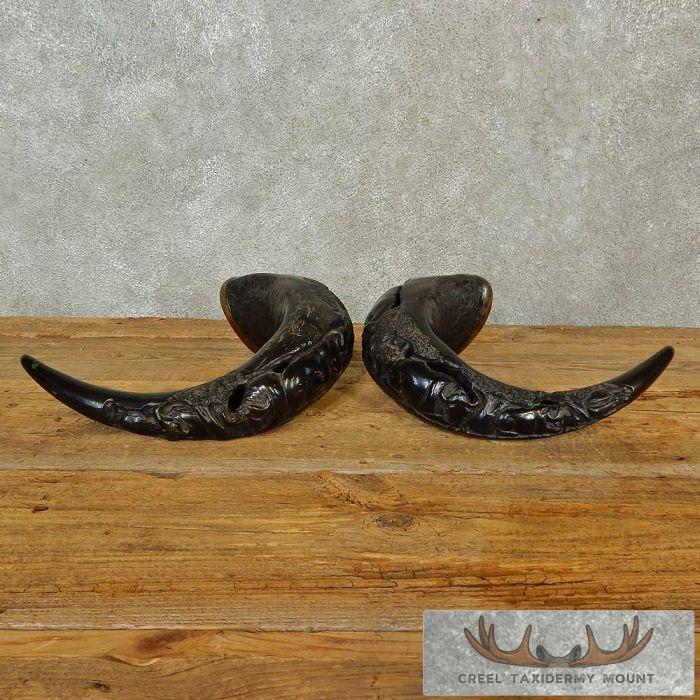 Carved Cape Buffalo Horns Taxidermy For Sale - Image 7