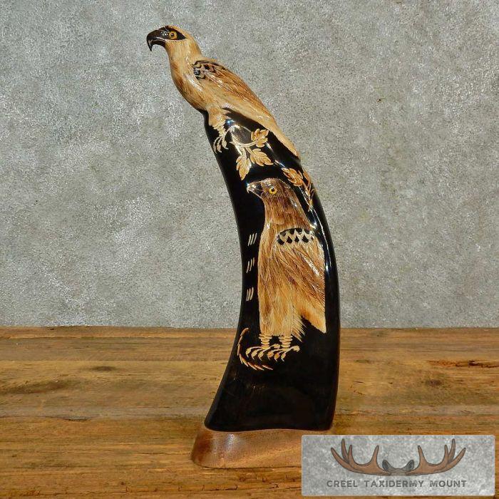 Asian Water Buffalo Horn Carving Taxidermy For Sale