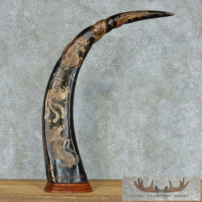 Asian Water Buffalo Horn Carving For Sale