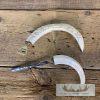 Carved Warthog Tusk Bottle And Letter Opener For Sale