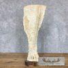 Carved Eland Scapula Safari Decor For Sale