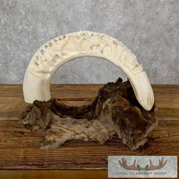 Carved Hippopotamus Tooth Safari Decor For Sale