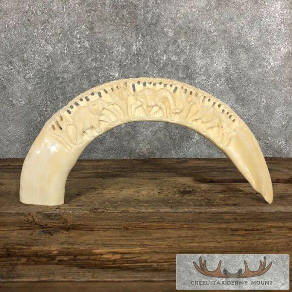 Carved Hippopotamus Tooth Safari Decor For Sale
