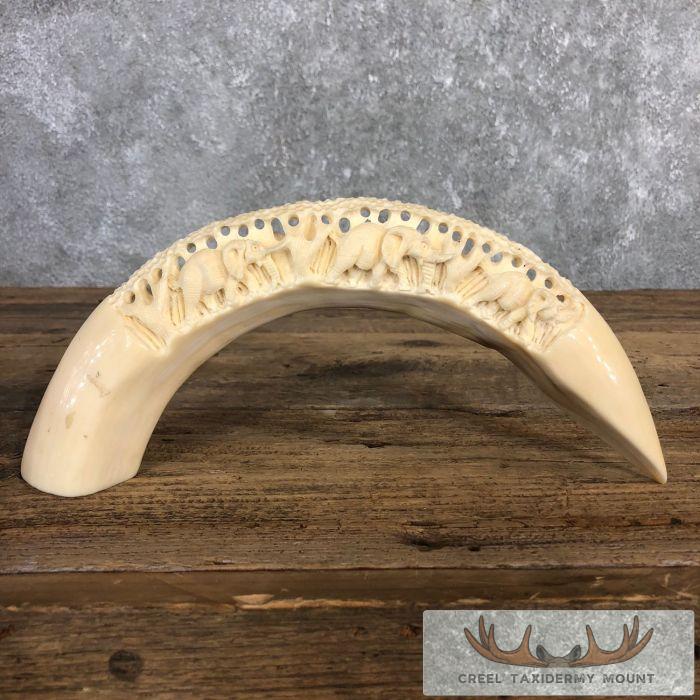 Carved Hippopotamus Tooth Safari Decor For Sale
