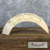 Carved Hippopotamus Tooth Safari Decor For Sale