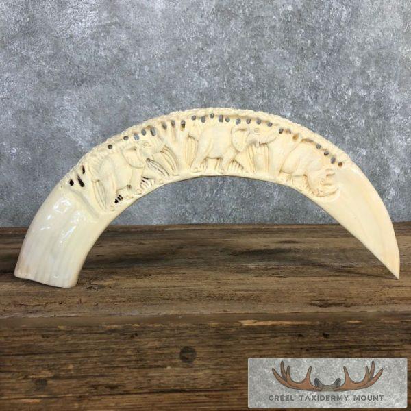 Carved Hippopotamus Tooth Safari Decor For Sale