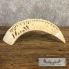Carved Hippopotamus Tooth Safari Decor For Sale