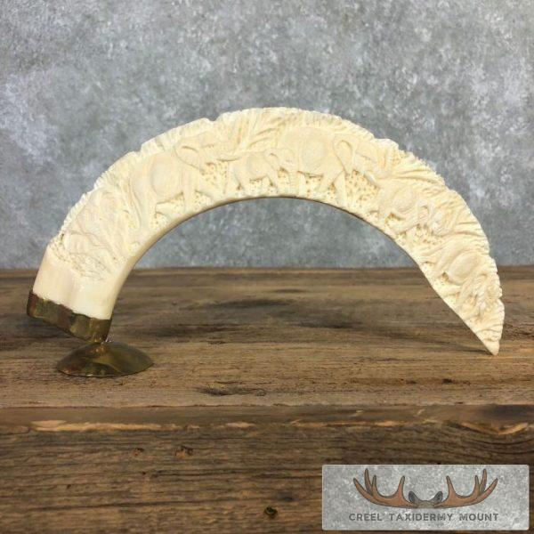 Carved Hippopotamus Tooth Safari Decor For Sale
