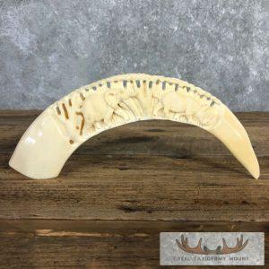 Carved Hippopotamus Tooth Taxidermy Mount Taxidermy