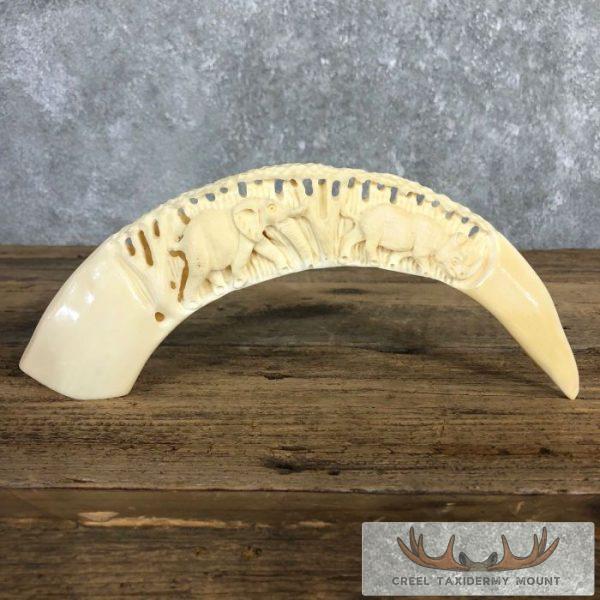 Carved Hippopotamus Tooth Taxidermy Mount For Sale