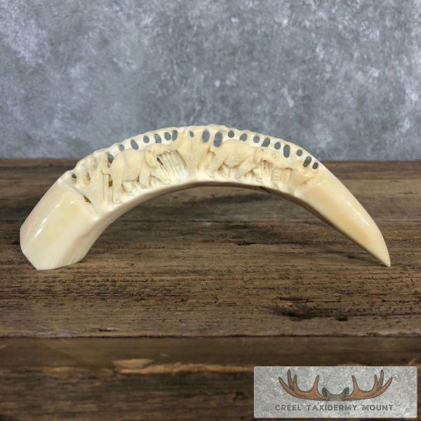 Carved Hippopotamus Tooth Taxidermy Mount For Sale