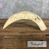 Carved Hippopotamus Tooth Taxidermy Mount For Sale