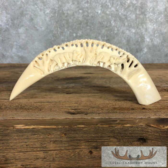 Carved Hippopotamus Tooth Taxidermy Mount For Sale
