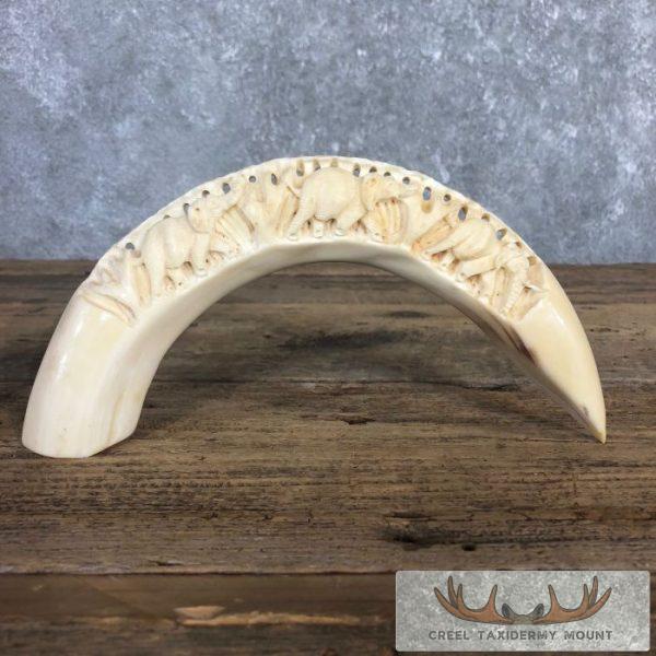 Carved Hippopotamus Tooth Safari Decor For Sale