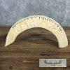 Carved Hippopotamus Tooth Safari Decor For Sale