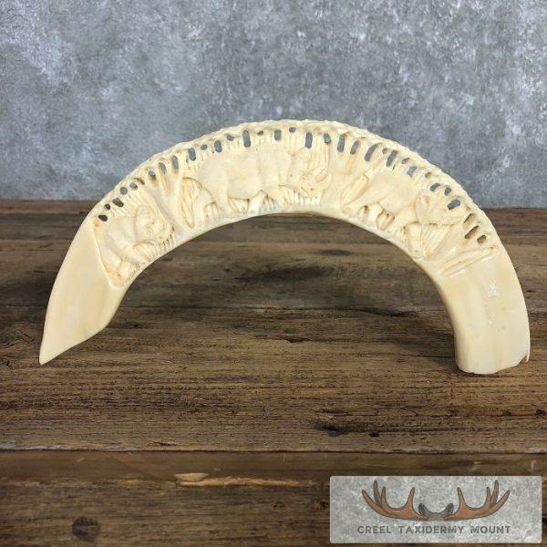 Carved Hippopotamus Tooth Safari Decor For Sale