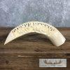 Carved Hippopotamus Tooth Taxidermy Mount For Sale