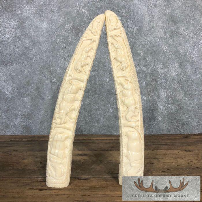 Carved Hippopotamus Teeth Safari Decor For Sale