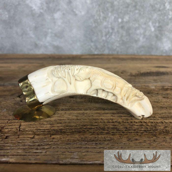 Carved Warthog Tooth Safari Decor For Sale