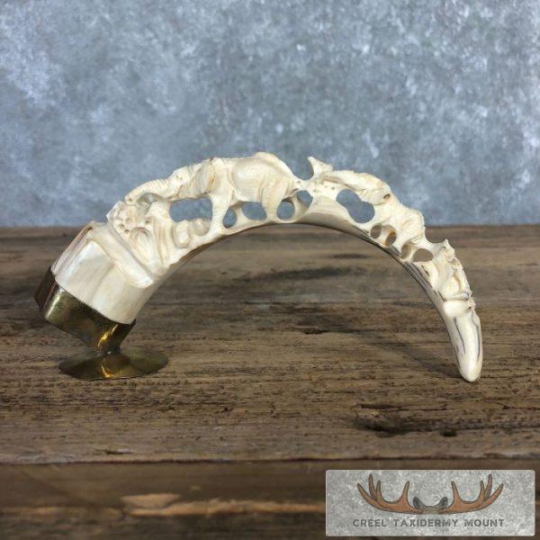 Carved Warthog Tooth Safari Decor For Sale