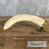 Carved Warthog Tooth Safari Decor For Sale