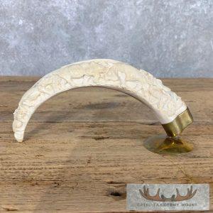 Carved Warthog Tooth Safari Decor Taxidermy