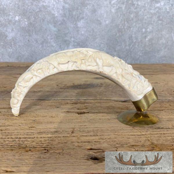 Carved Warthog Tooth Safari Decor For Sale