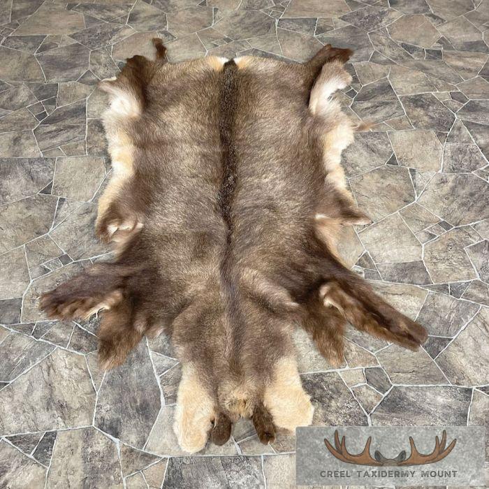 Chamois Tanned Hide For Sale