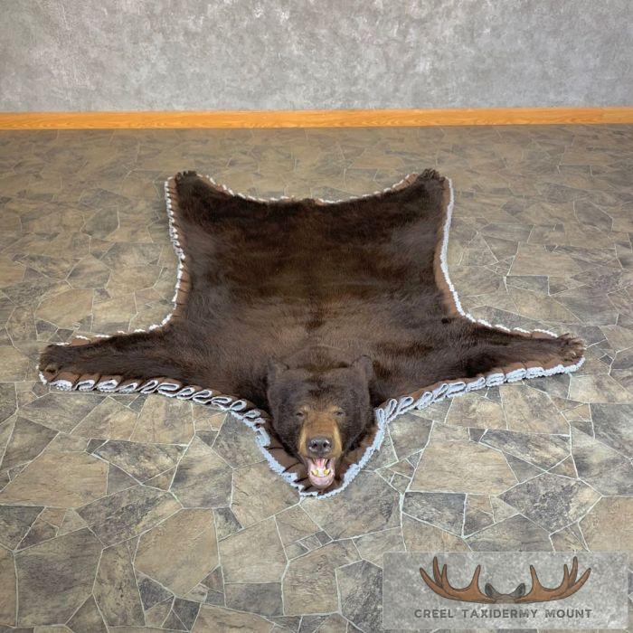 Chocolate Black Bear Full-Size Taxidermy Rug For Sale