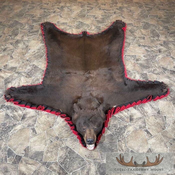 Chocolate Black Bear Full-Size Taxidermy Rug For Sale