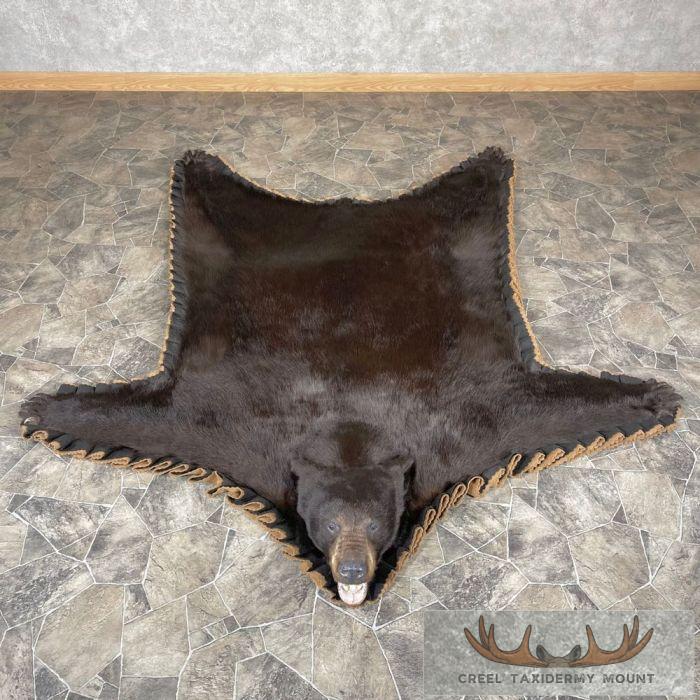 Chocolate Black Bear Full-Size Taxidermy Rug For Sale