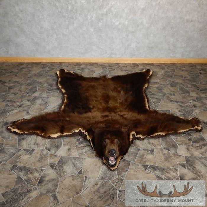 Chocolate Phase Black Bear Full-Size Taxidermy Rug For Sale