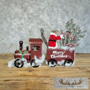 Christmas Squirrels Novelty Taxidermy Mount Taxidermy