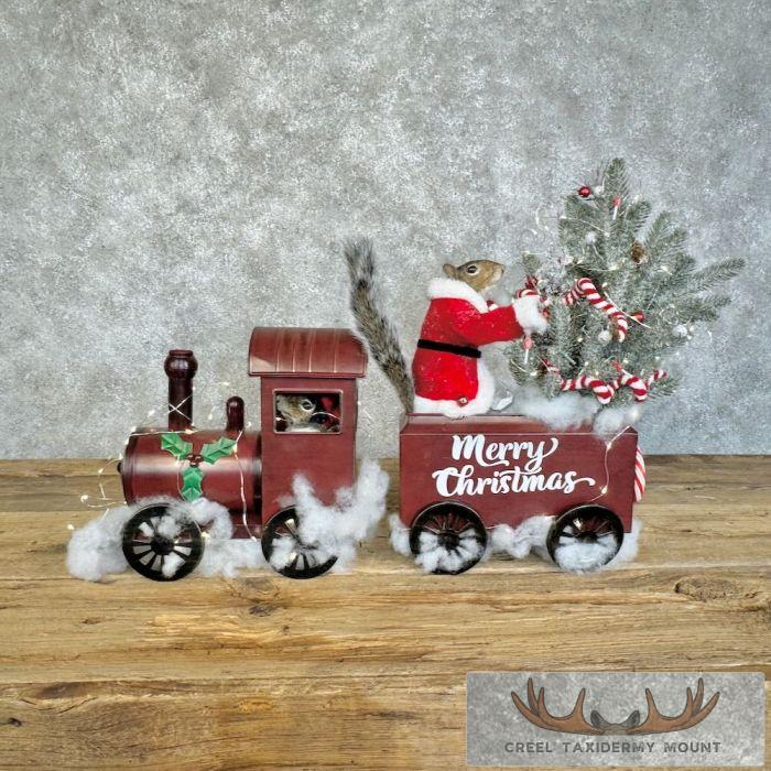 Christmas Squirrels Novelty Taxidermy Mount For Sale