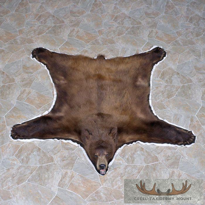 Cinnamon Bear Full Rug