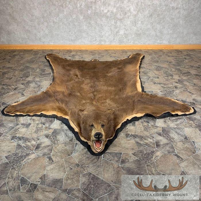 Cinnamon Black Bear Full-Size Taxidermy Rug For Sale